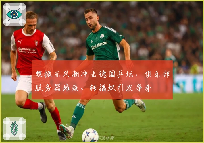 樊振东风潮冲击德国乒坛，俱乐部服务器瘫痪、转播权引发争夺